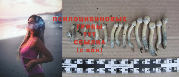 стаф Михайлов