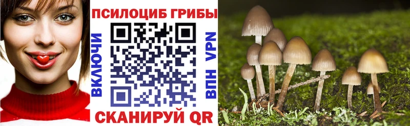 Псилоцибиновые грибы Cubensis  мега ссылки  Полтавская 